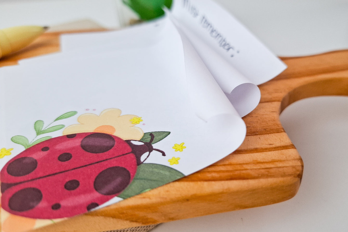 Ladybug Sticky Notes