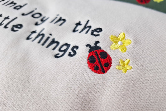 Find Joy Ladybug Sweater