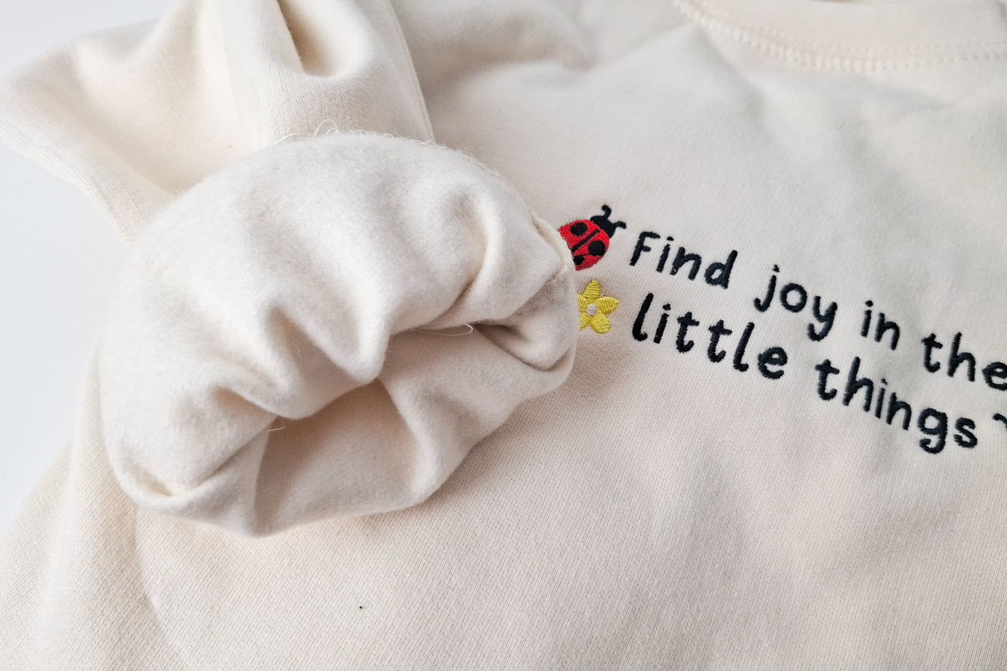 Find Joy Ladybug Sweater