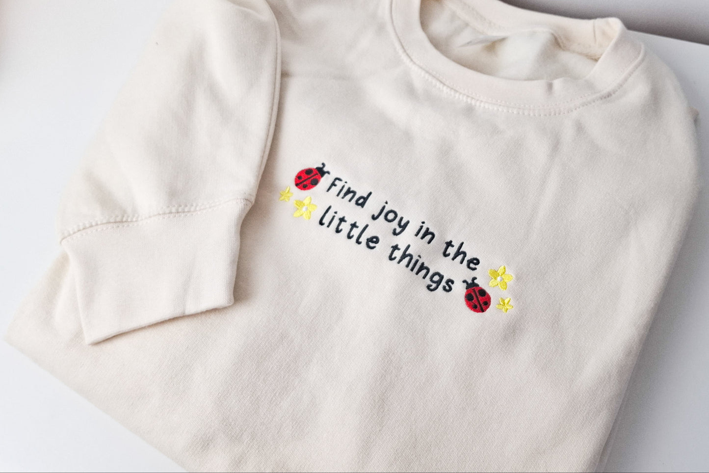 Find Joy Ladybug Sweater
